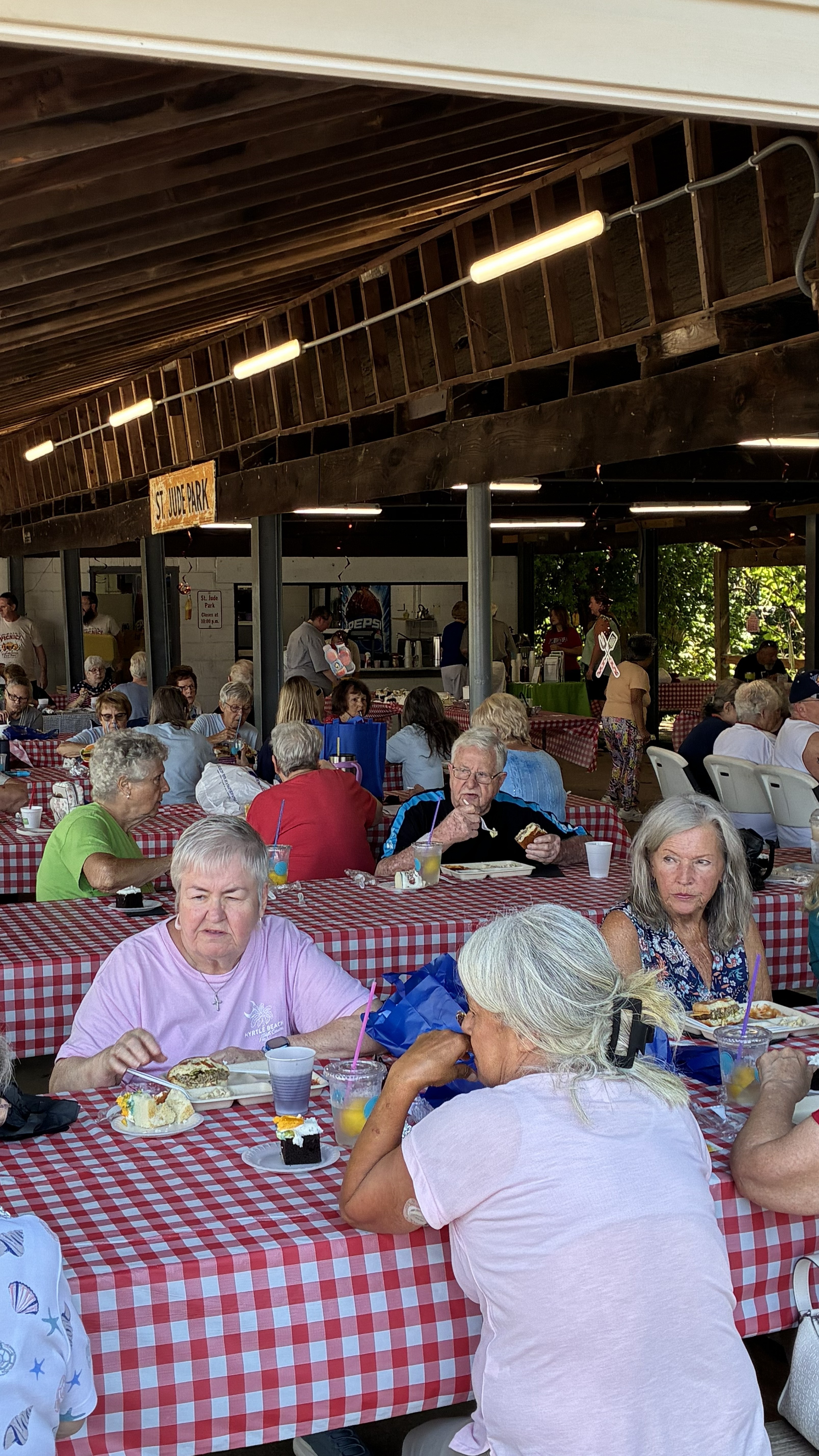 Marshall County Senior Center Picnic at St. Jude Park in Glen Dale